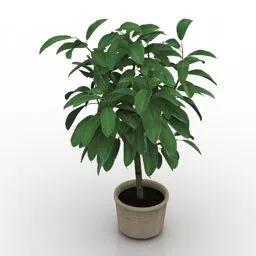 Green Plant Pot 3d model