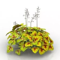 Flower Grass 3d model