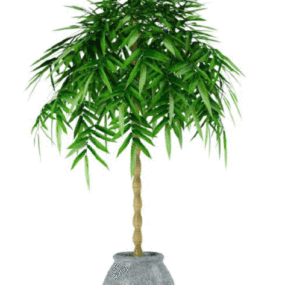 Office Indoor Plant 3d model