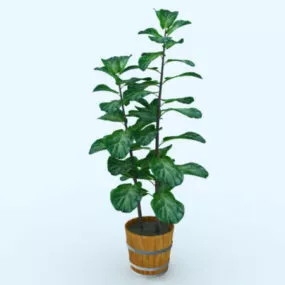Terracotta Potted Plant 3d model