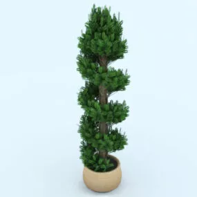 Garden Decoration Potted High Plant 3d model