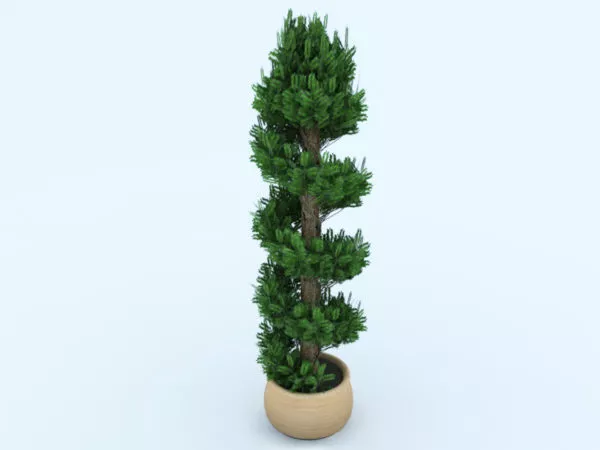 Garden Decoration Potted High Plant 3d model Garden Decoration Potted High Plant 3d model