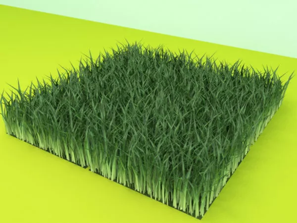 Grass Field Module 3d model Grass Field Module 3d model