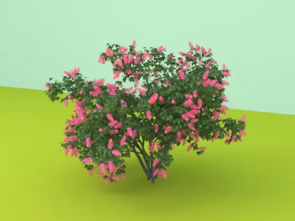 Bush Haloxylon 3d model