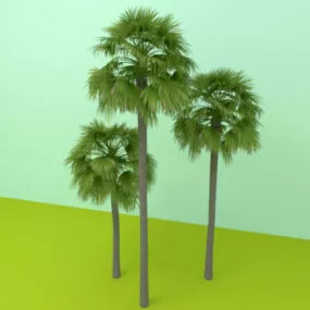 Palm Tree 3d model