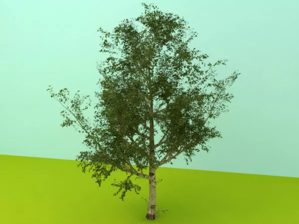 Garden Leaves Tree 3d model Garden Leaves Tree 3d model