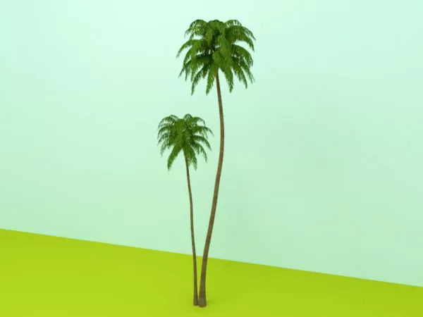 Coconut Tree 3d model Coconut Tree 3d model