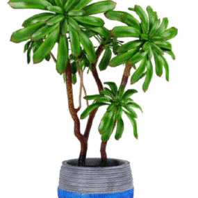 Indoor Plant Decorations 3d model