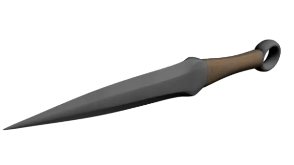 Tang Dynasty Chinese Sword 3d model