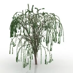 Small Tree Garden 3d model Small Tree Garden 3d model
