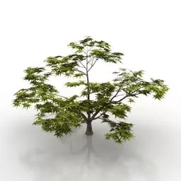 Leaves Tree 3d model Leaves Tree 3d model