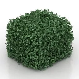 Garden Bush Hedge Decoration 3d model