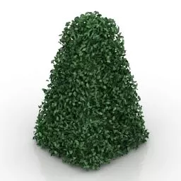 Hedge Shape Decoration 3d model
