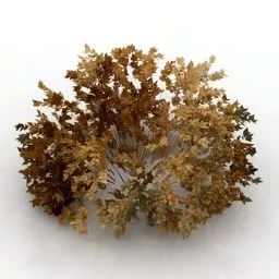 Garden Autumn Bush 3d model