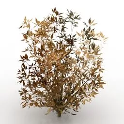 Autumn Bushes 3d model