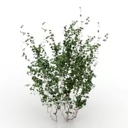 Garden Bushes Flower Plant 3d model