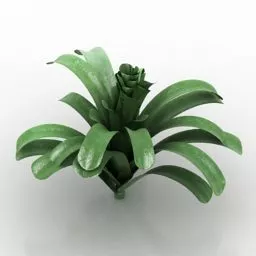Garden Leaves Plant 3d model