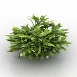 Small Garden Plant 3d model