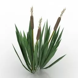 Green Garden Plant 3d model