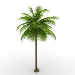 Lowpoly Palm Trees On Beach 3d model