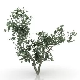 Lowpoly Leaves Tree 3d model