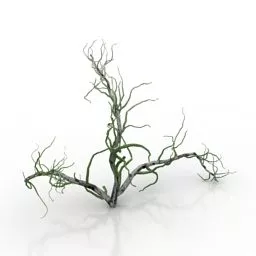 Garden Branches Bushes 3d model