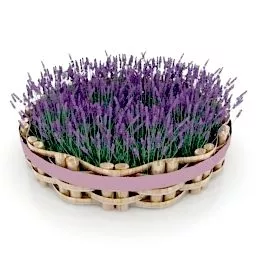 Garden Violet Flowers 3d model