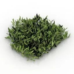 Realistic Grass Field 3d model