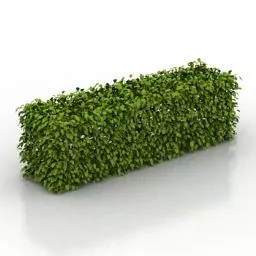 Bush Garden 3d model