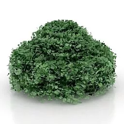 Garden Center Hedge 3d model