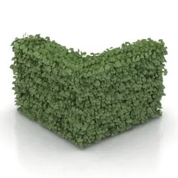 Cubic Hedges 3d model