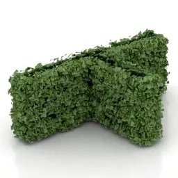 T Shape Hedge Design 3d model