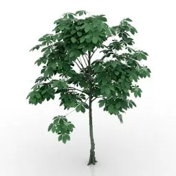 Lowpoly Chestnut Tree 3d model