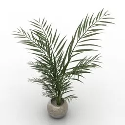 Pot Palm Tree 3d model