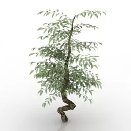 Garden Bush Plant Lowpoly 3d model