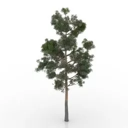 Lowpoly Plant Pine Tree 3d model