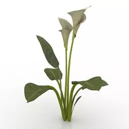 Lowpoly Flower 3d model Lowpoly Flower 3d model