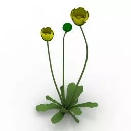 Lowpoly Garden Flower 3d model