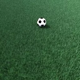 Grass Field V4 3d model