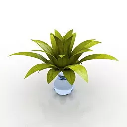 Potted Flower 3d model
