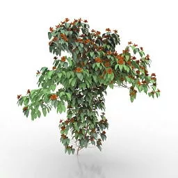Garden Bush V1 3d model