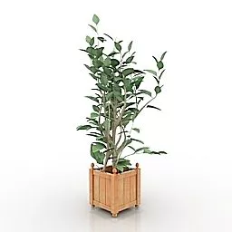 Home Indoor Flower 3d model