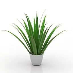 Office Potted Flower 3d model