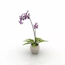 Desk Pot Flower 3d model