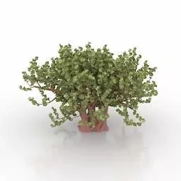 Potted Tree Garden Decor 3d model