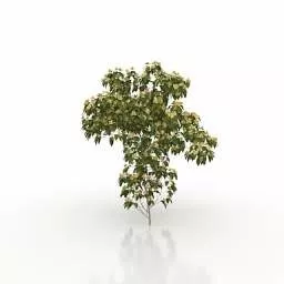 Tree Garden 3d model Tree Garden 3d model