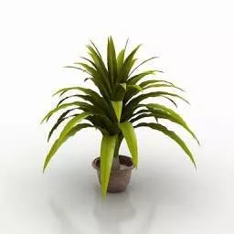 Office Potted Flower 3d model