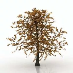 Yellow Leaves Tree 3d model