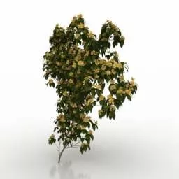Tree Plant Decor 3d model