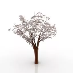 Sakura Tree 3d model
